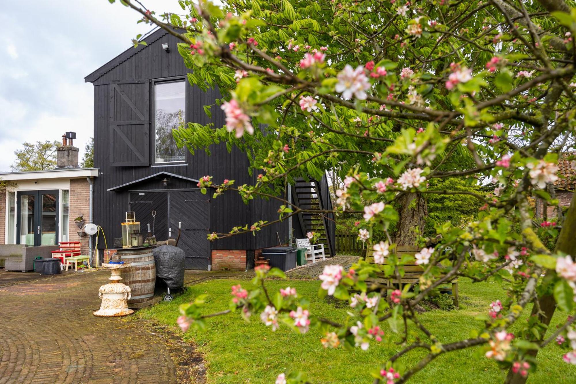 Hooischuur Alkmaar/bergen Bed & Breakfast